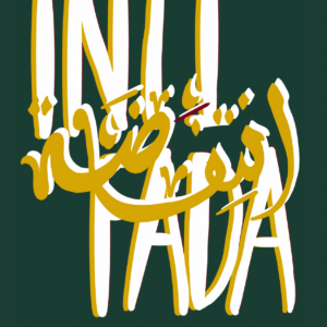 Jabin Ahmed @_artivistt