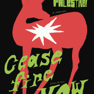 Niamh Shannon @nia.mhshannon