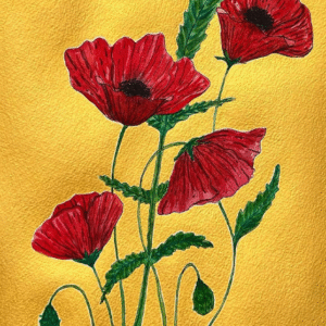 Amalia Agathou @amaliaagathou