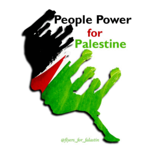 Ann Kiernan @ann_kiernan