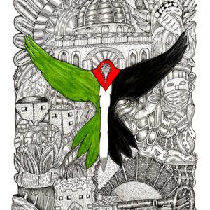 Anwar Davids @anwardavids7