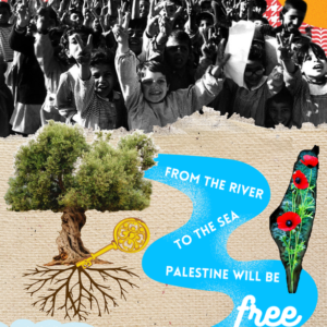 Ashmusings @ashmusings