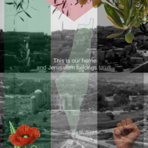 Ashmusings @ashmusings