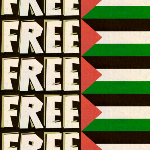 Júlia Nunes @codornatrepidante