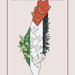 Emina Kamerić @eminakameric