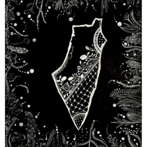 Fara Samsudin @f4rads