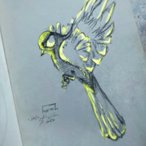 Farah Ajjour @farahajjour1