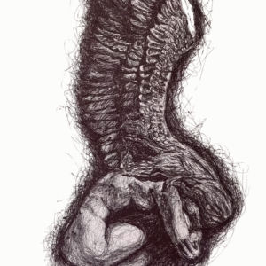 Fatma Raif Al-Barqouni @ftmabrq