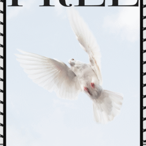 Gunnlöð Jóna Rúnarsdóttir @gunnlod