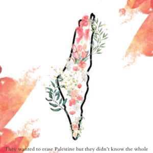 Habiba Ahmed @habibaahmedxx