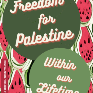 Hufsa Adeen @hufsa.adeen