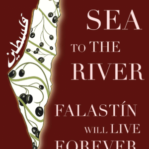 Hufsa Adeen @hufsa.adeen