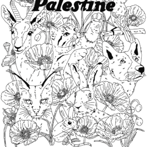 Chi Nwosu @itschinwosu