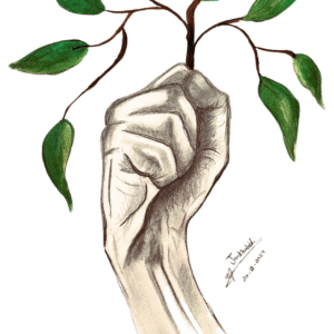 Jan Khaled Karim @jan._.khaled