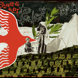 L.M Faber @leemur_land