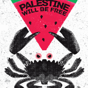 Juan Díaz Vio @macacodosul