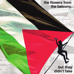 Juan Díaz Vio @macacodosul