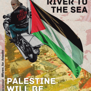 Juan Díaz Vio @macacodosul