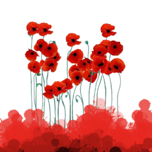 Manal Alkahlout @manalalkahlout