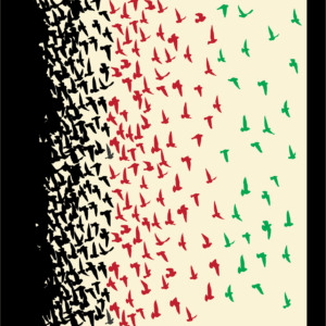 Minal Hasan @minahxn