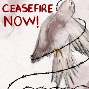 Miray Öztürk @mirayozturko