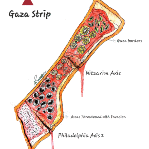 Nada Rajab @nada_rajab8431