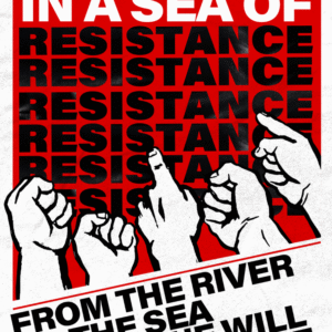 Brodie Thornborrow @palestine.brisbane.protest.pic