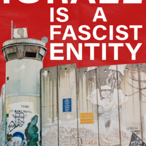 Brodie Thornborrow @palestine.brisbane.protest.pic