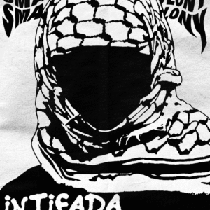 Brodie Thornborrow @palestine.brisbane.protest.pic