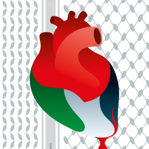 Quino Sacavera @quinosacavera