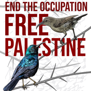 Rachel Rothberg @rachel.poke