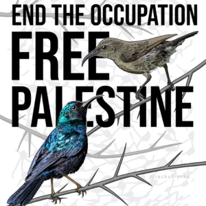 Rachel Rothberg @rachel.poke