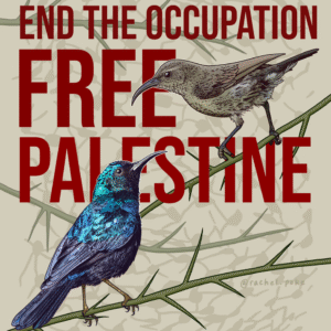 Rachel Rothberg @rachel.poke