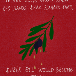 Rayane Rawadi @rayanerawadi