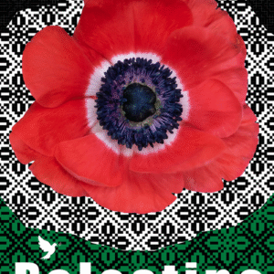 Reem Maghribi @reem.maghribi