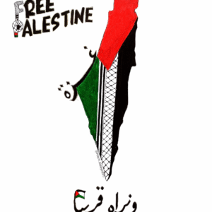 Reem Al Sayed @reem.alsayed95