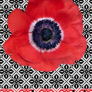 Reem Maghribi @reem.maghribi