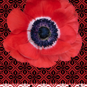 Reem Maghribi @reem.maghribi