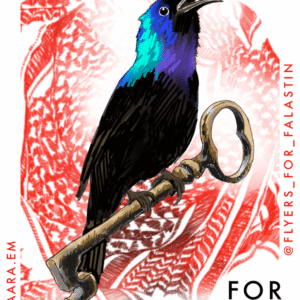 Saara Peisa @saara.em