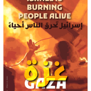 Safa Kadhim @safakadhim