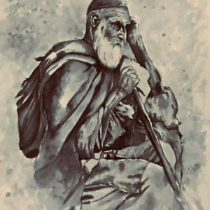 Saja Alhaj @saja.n.haj