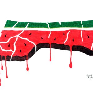 Shahd Rajab @shahd_rajab51