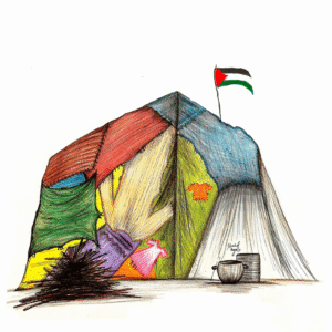 Shahd Rajab @shahd_rajab51