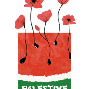 Shahd Rajab @shahd_rajab51