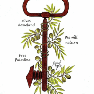 Shahd Rajab @shahd_rajab51