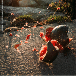 Sonja Stich @sonja_stich_fotografias