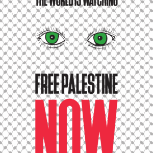 Alessandra Clemente @still_ale_s