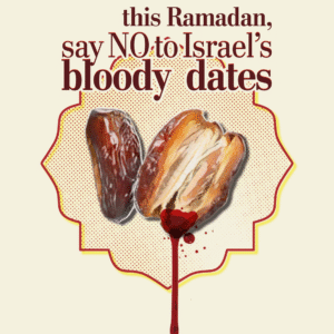 Sean van der Velden  @symbols.of.resistance