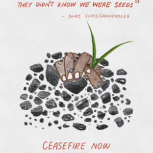 Tanvi Talwar @tanrus.studio