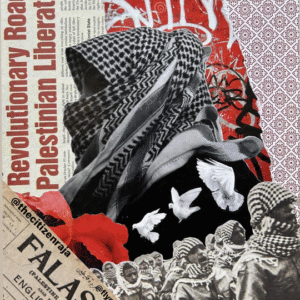 Shahzaad Raja @thecitizenraja